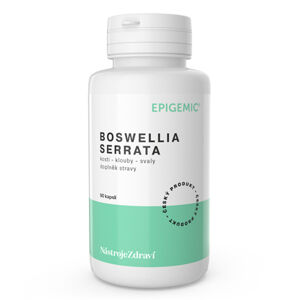 Boswellia Serrata - 90 kapsúl - Epigemic®